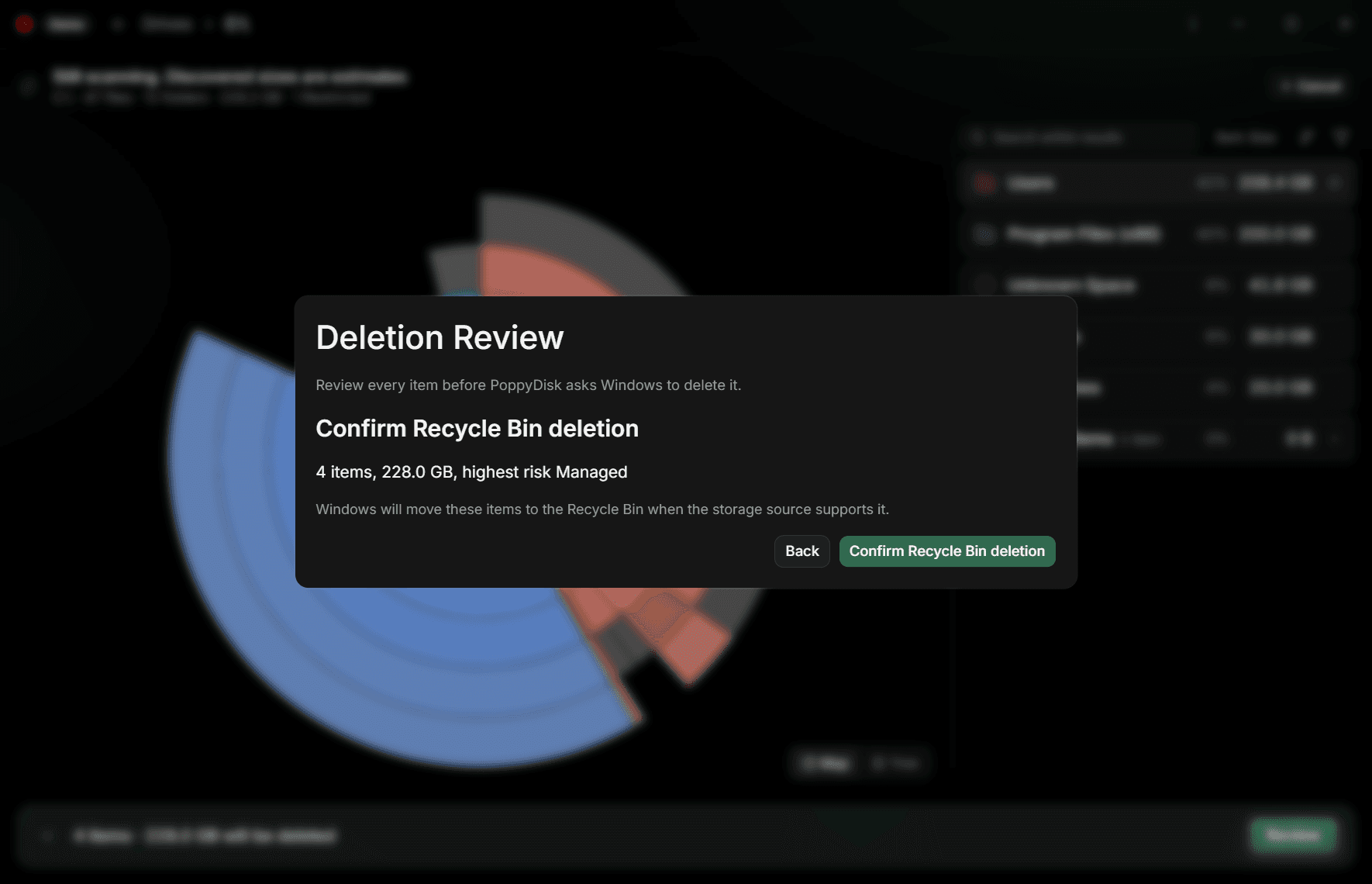 The Confirm Recycle Bin deletion step, restating one item, its size, and its highest Risk, with Back and Confirm buttons