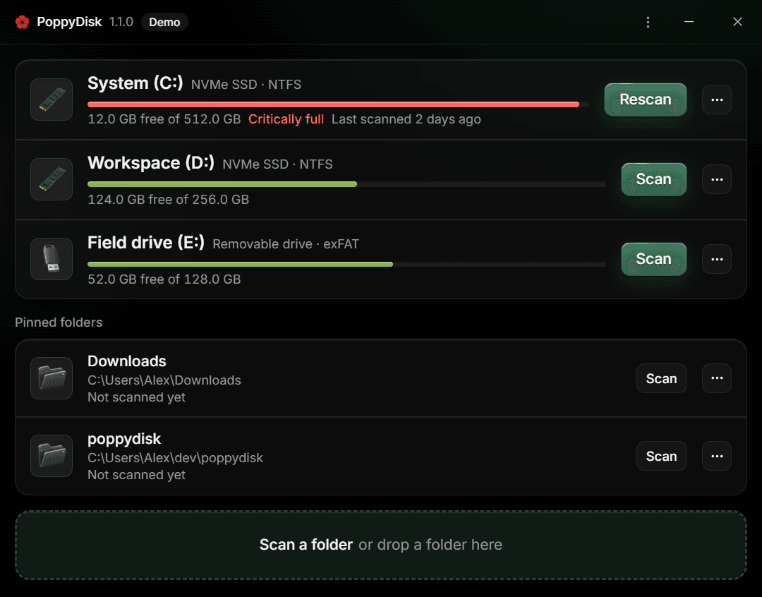 The Drive Overview in Demo Mode: three Drives, two Pinned Folders, and the Demo badge in the title bar