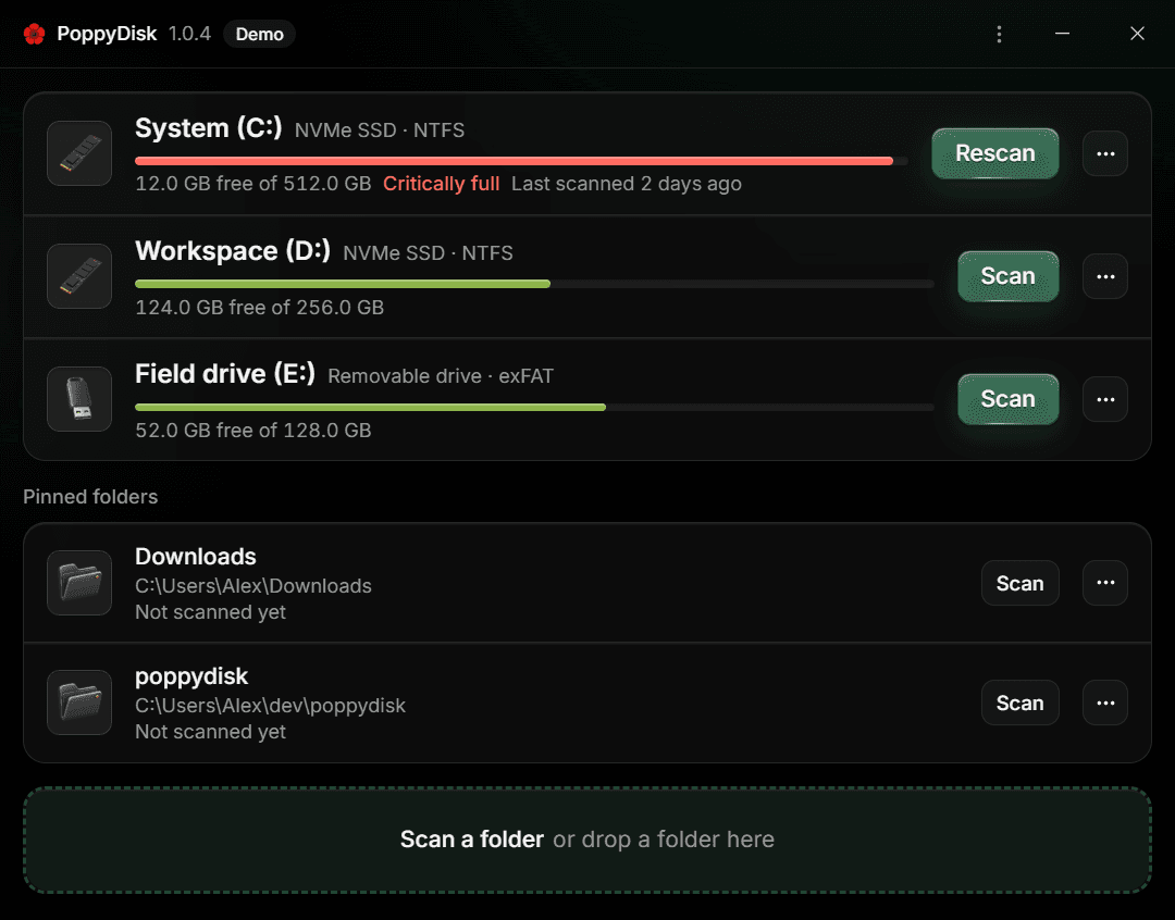 The Drive Overview in Demo Mode: three Drives, two Pinned Folders, and the Demo badge in the title bar