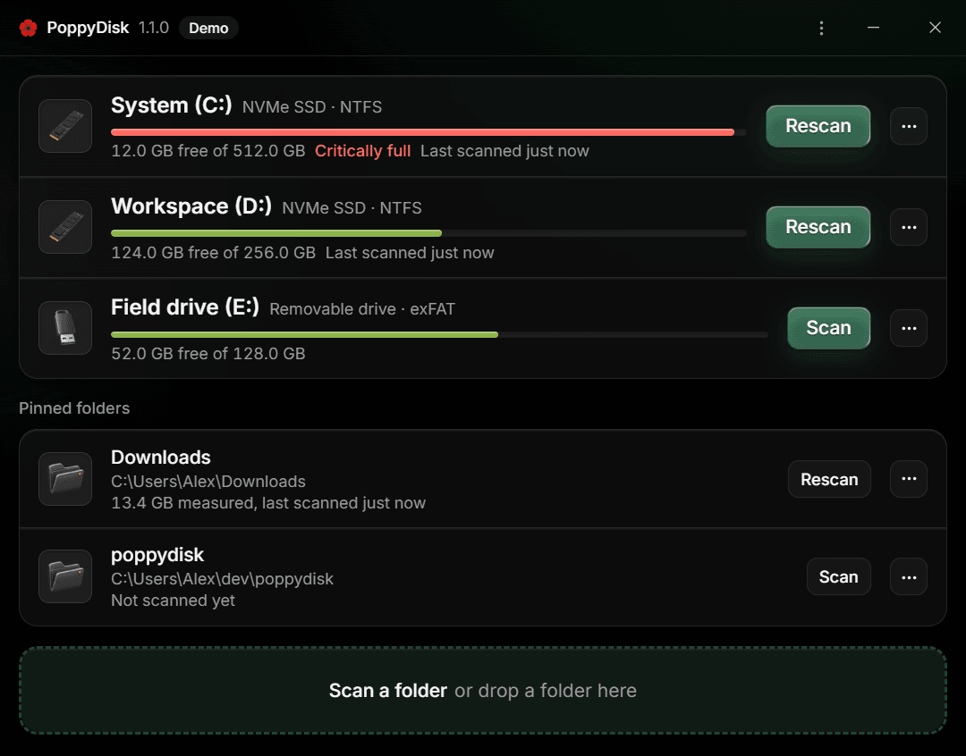 The Drive Overview with two Pinned Folders: Downloads, measured and ready to Rescan, and poppydisk, not scanned yet