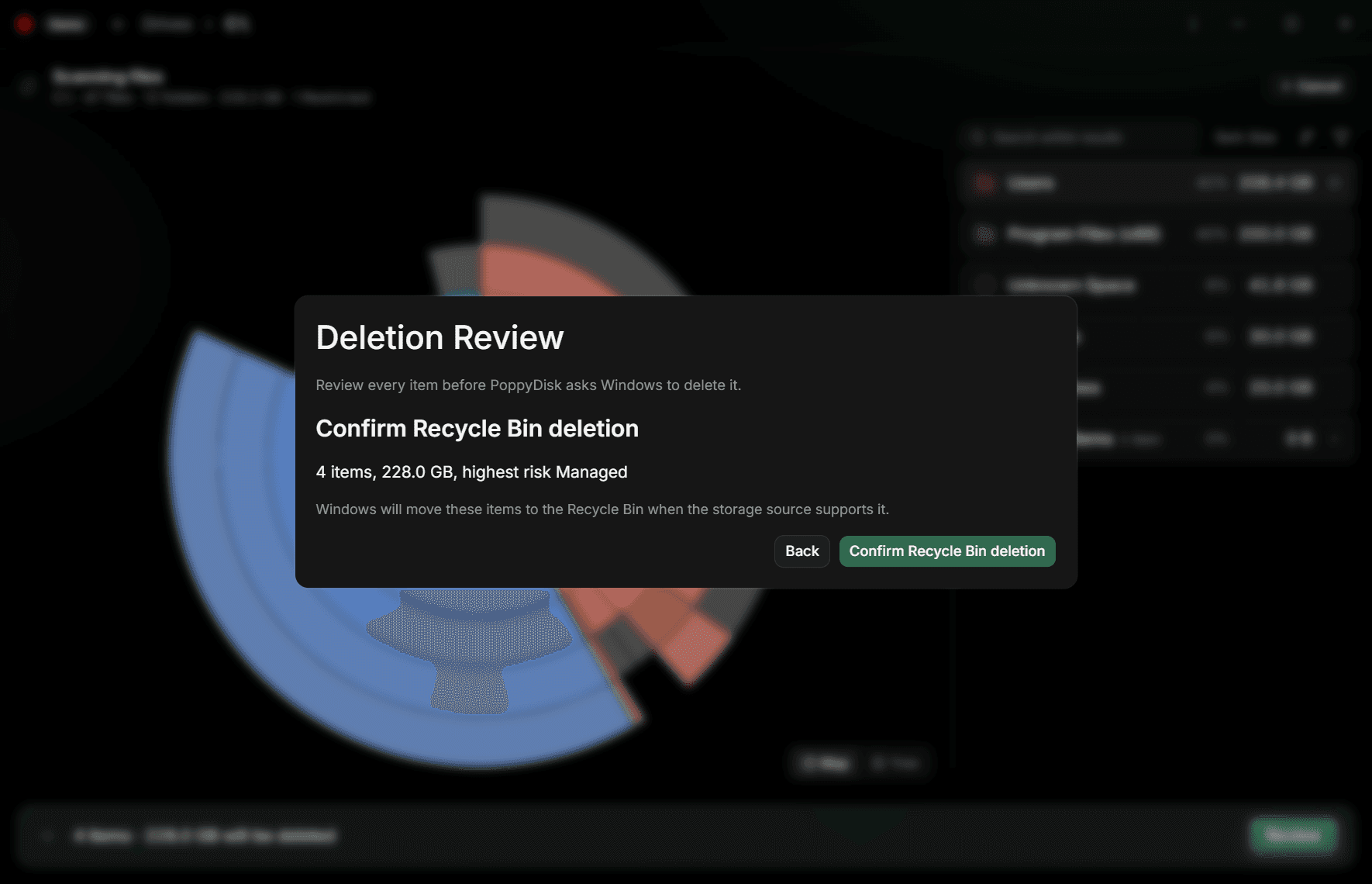 The Confirm Recycle Bin deletion step, restating one item, its size, and its highest Risk, with Back and Confirm buttons